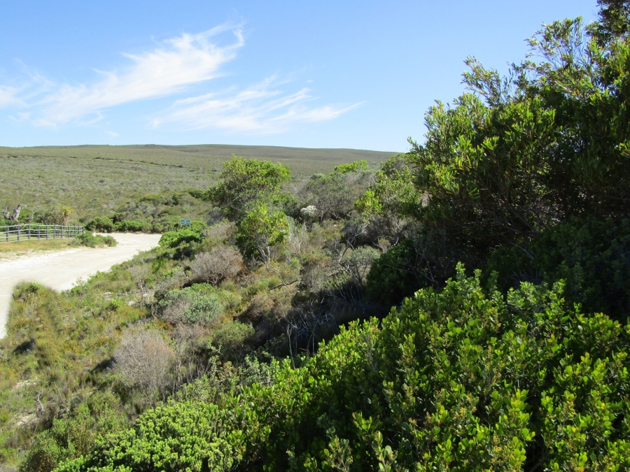 0 Bedroom Property for Sale in Suiderstrand Western Cape